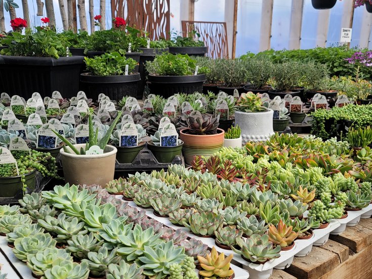 Horse Lake Garden Centre