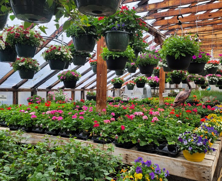 Horse Lake Garden Centre